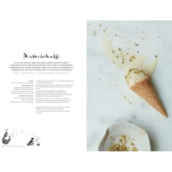 Basisboek India