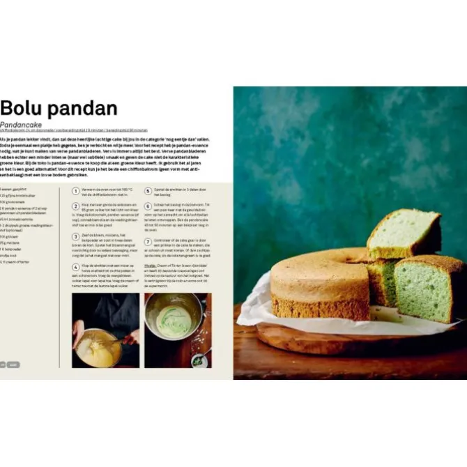 Basisboek Indonesisch