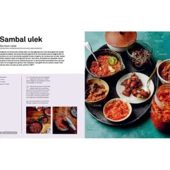 Basisboek Indonesisch