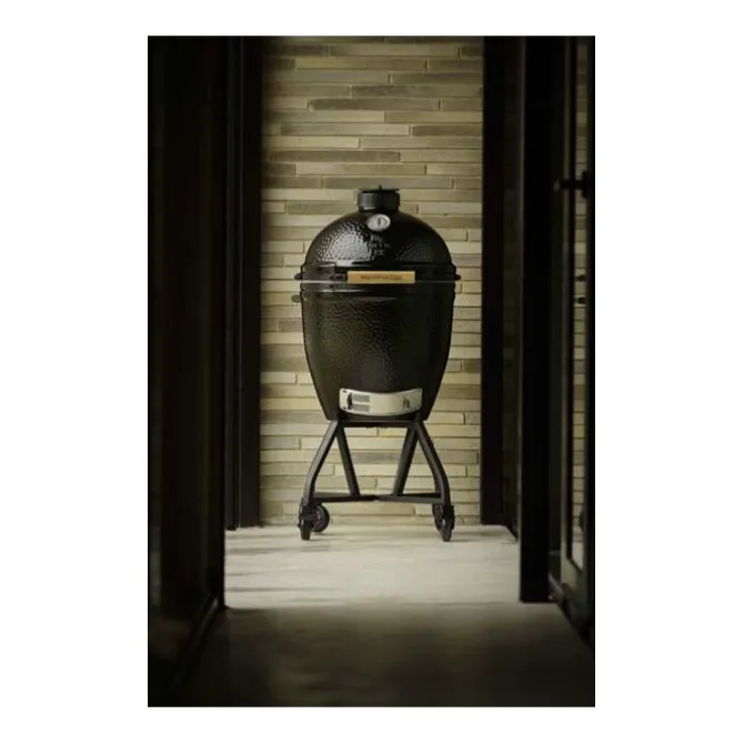 Big Green Egg Onyx Large Start Collection barbecue