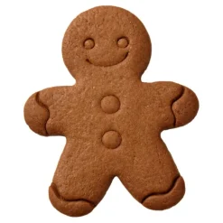 Birkmann uitsteekvorm gingerbreadman 12 cm rvs