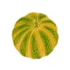 Bordallo pompoen bord ø 15 cm aardewerk geel/groen