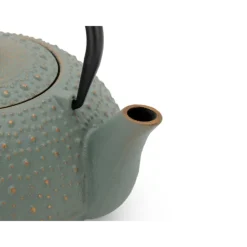 Bredemeijer Anhui theepot 900 ml gietijzer Blue
