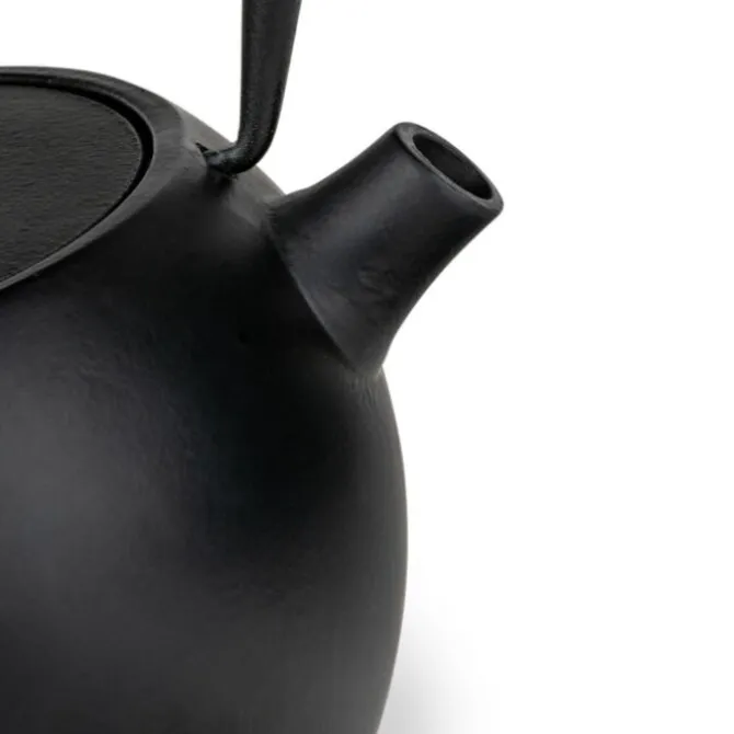Bredemeijer Guizhou theepot 750 ml zwart
