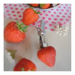 Clippe Gola aardbei-ontkroner 7,2 cm rvs