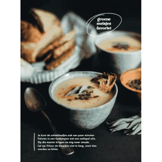 De groene meisjes : vegan voor iedereen