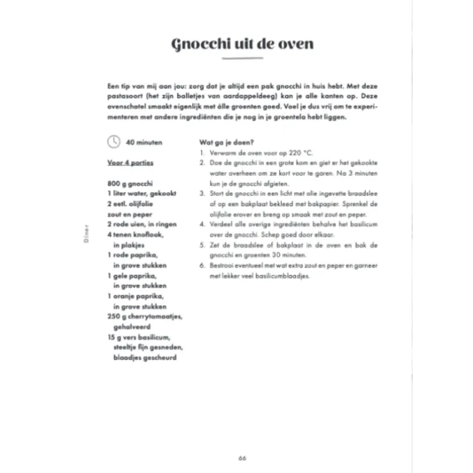 De groene meisjes : vegan voor iedereen