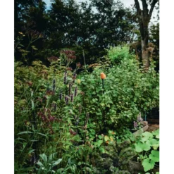 De Meisjes van de Moestuin