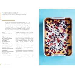 De snelle bakplaat : 75 makkelijke recepten