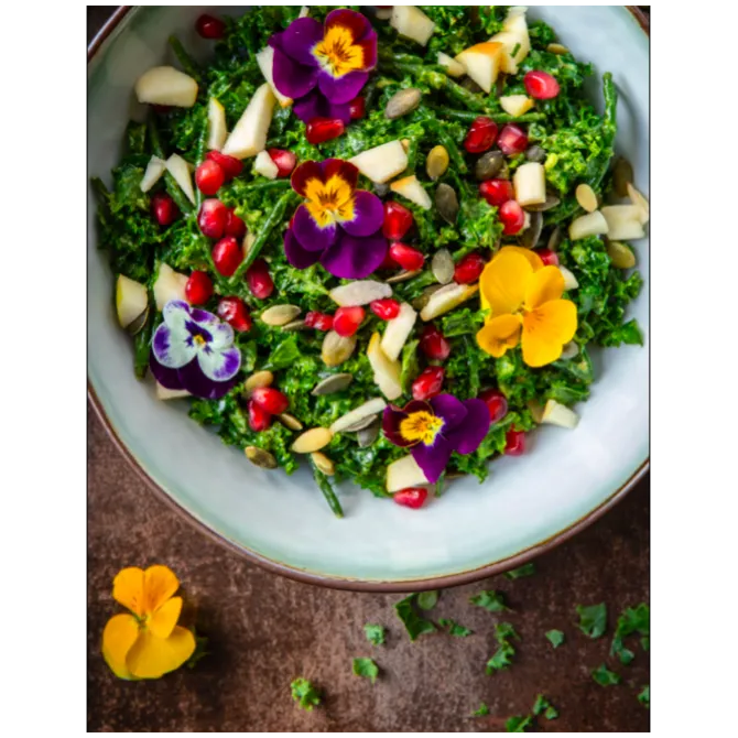 Extra Vierge : 85 recepten met olijfolie