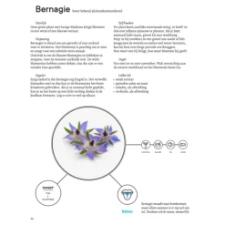 Herbas : kruiden, recht uit de natuur op je bord