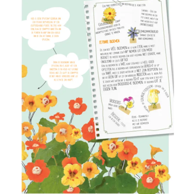 Het grote stamppotboek