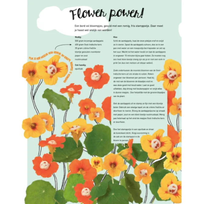 Het grote stamppotboek