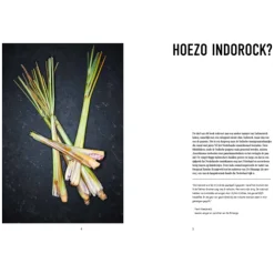 Indorock : Indonesische smaken in een nieuwe jas