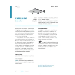 Kookbijbels - Visbijbel : werken met vis