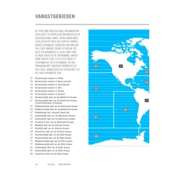 Kookbijbels - Visbijbel : werken met vis