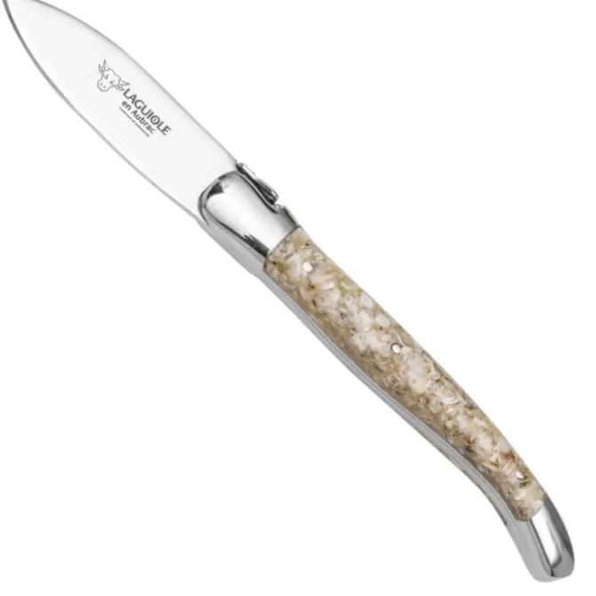 Laguiole en Aubrac oestermes rvs oesterschelpen