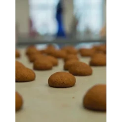 Meer meesterlijk brood : van brioche tot bijzondere broodjes