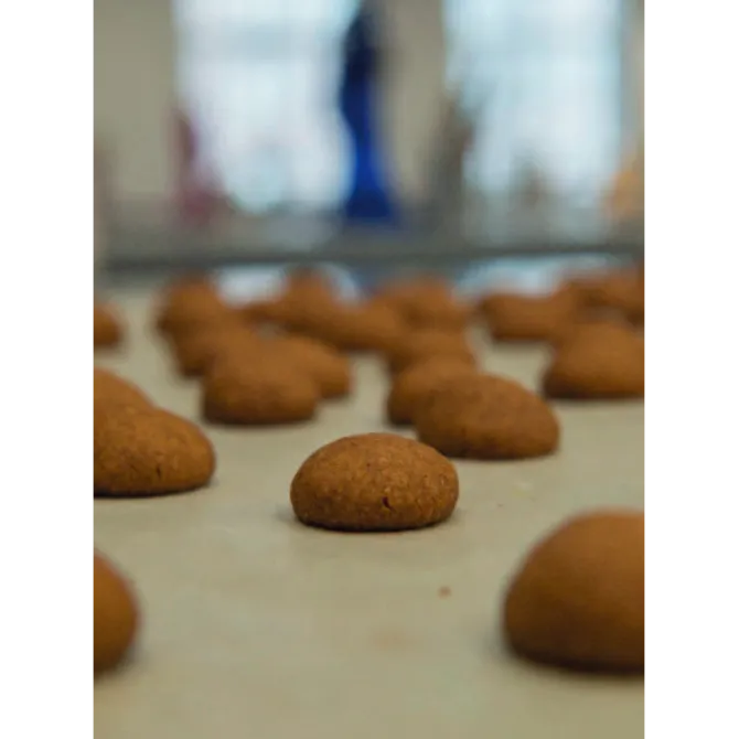 Meer meesterlijk brood : van brioche tot bijzondere broodjes