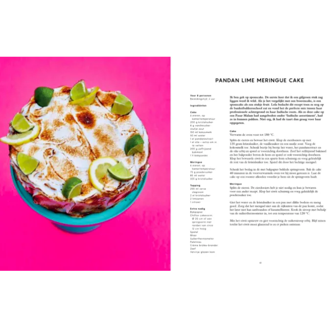 Mooncake : Het bakboek