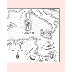 Moors : Modern Mediterraan-Arabisch kookboek