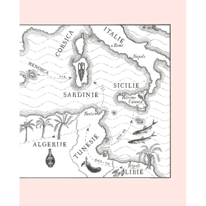 Moors : Modern Mediterraan-Arabisch kookboek