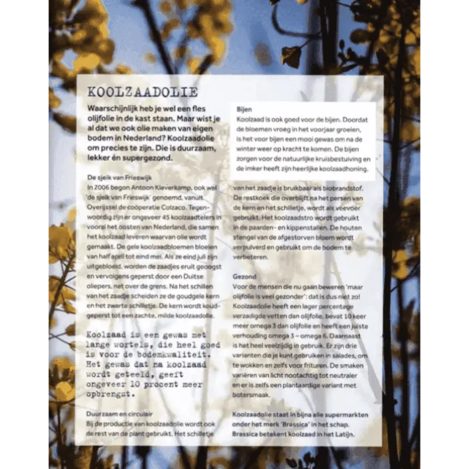 Nederland Kookboek : het lekkerste uit alle provincies