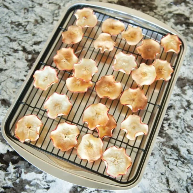 Nordic Ware Oven Crisp braadslede 39,6 x 29,5 cm aluminium