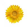 Oldenhof Fiori schaal M 22 cm aardewerk