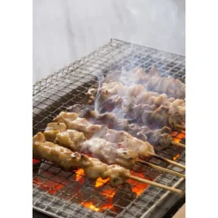 Oldenhof Konro Grill Diatomite Japanse barbecue B-10 54 x 23 x 20 cm