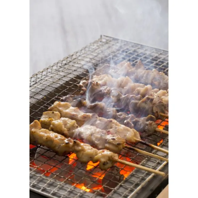 Oldenhof Konro Grill Diatomite Japanse barbecue B-10 54 x 23 x 20 cm