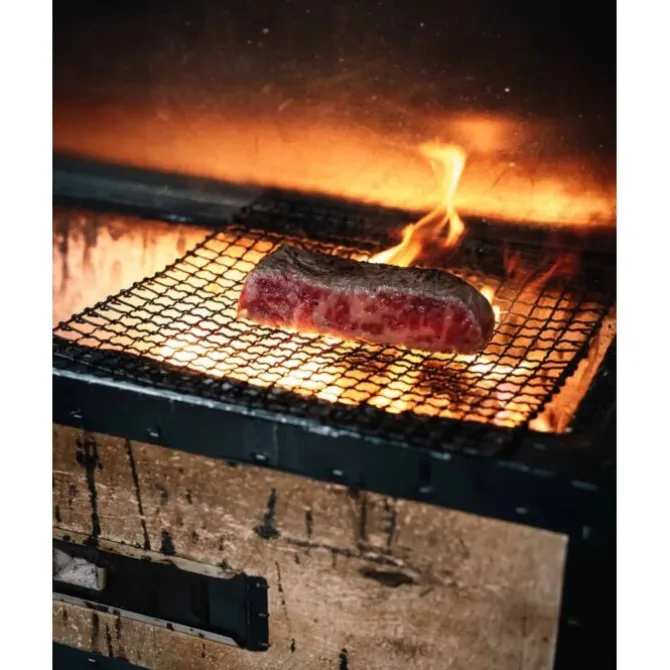 Oldenhof Konro Grill Diatomite Japanse barbecue B-10 54 x 23 x 20 cm