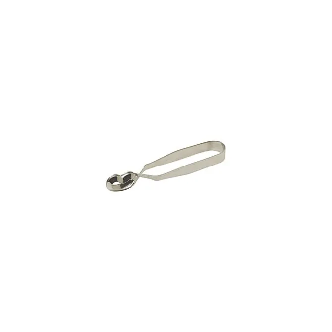 Oldenhof slakkentang 16,5 cm rvs glans