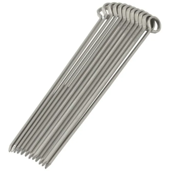 Oldenhof vleesspies 20 cm rvs 12 stuks