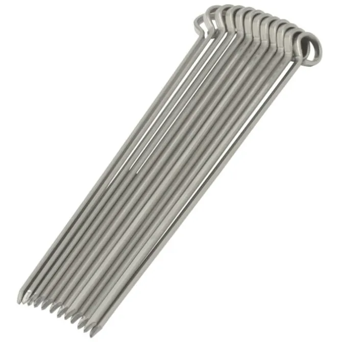 Oldenhof vleesspies 30 cm rvs 12 stuks