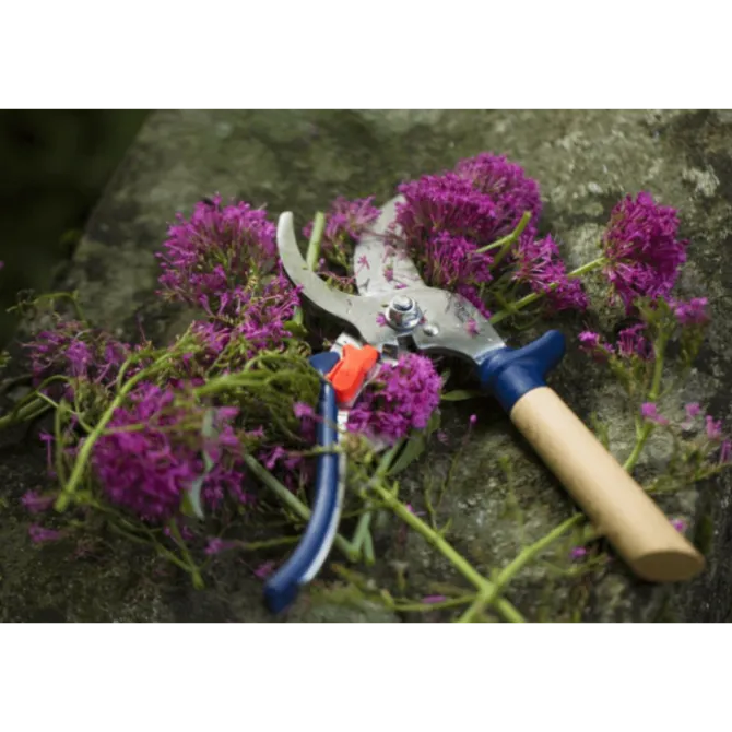 Opinel snoeischaar 21,5 cm rvs blauw