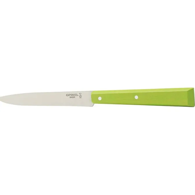 Opinel steakmes N°125 22 cm rvs lichtgroen