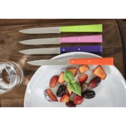 Opinel steakmes N°125 22 cm rvs roze