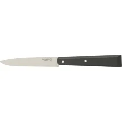 Opinel steakmes N°125 22 cm rvs zwart