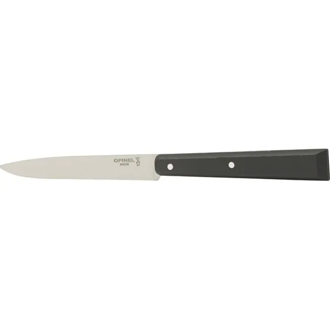 Opinel steakmes N°125 22 cm rvs zwart