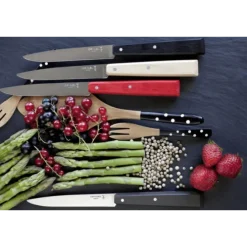 Opinel steakmes N°125 22 cm rvs zwart
