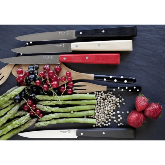Opinel steakmes N°125 22 cm rvs zwart