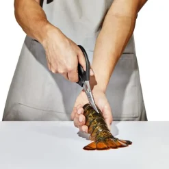 OXO Kreeftenschaar 19,3 cm zwart rvs