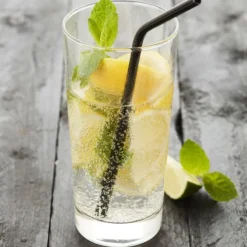 Point-Virgule cocktailrietjes met reinigingsborstel rvs zwart 4 stuks