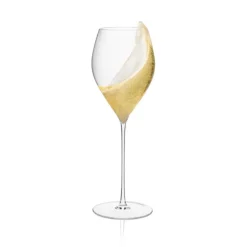 Rona Arte champagneglas 290 ml kristalglas 2 stuks