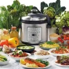 Sage the Fast Slow GO Multicooker