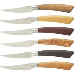 Saladini steakmes 10 cm verschillende houtsoorten 6 stuks