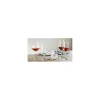 Schott Zwiesel Viña 60 wijnglas 604 ml kristalglas 6 stuks