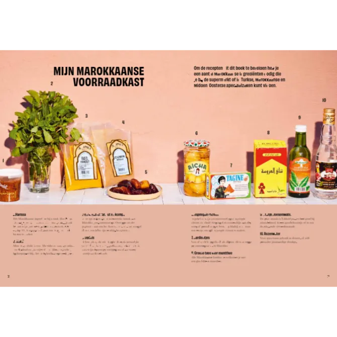 Shoukran - 100 Marokkaanse familiegerechten om samen van te genieten