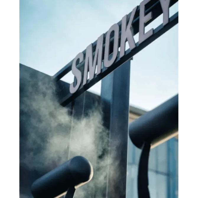 Smokey Goodness - Het ultieme BBQ boek